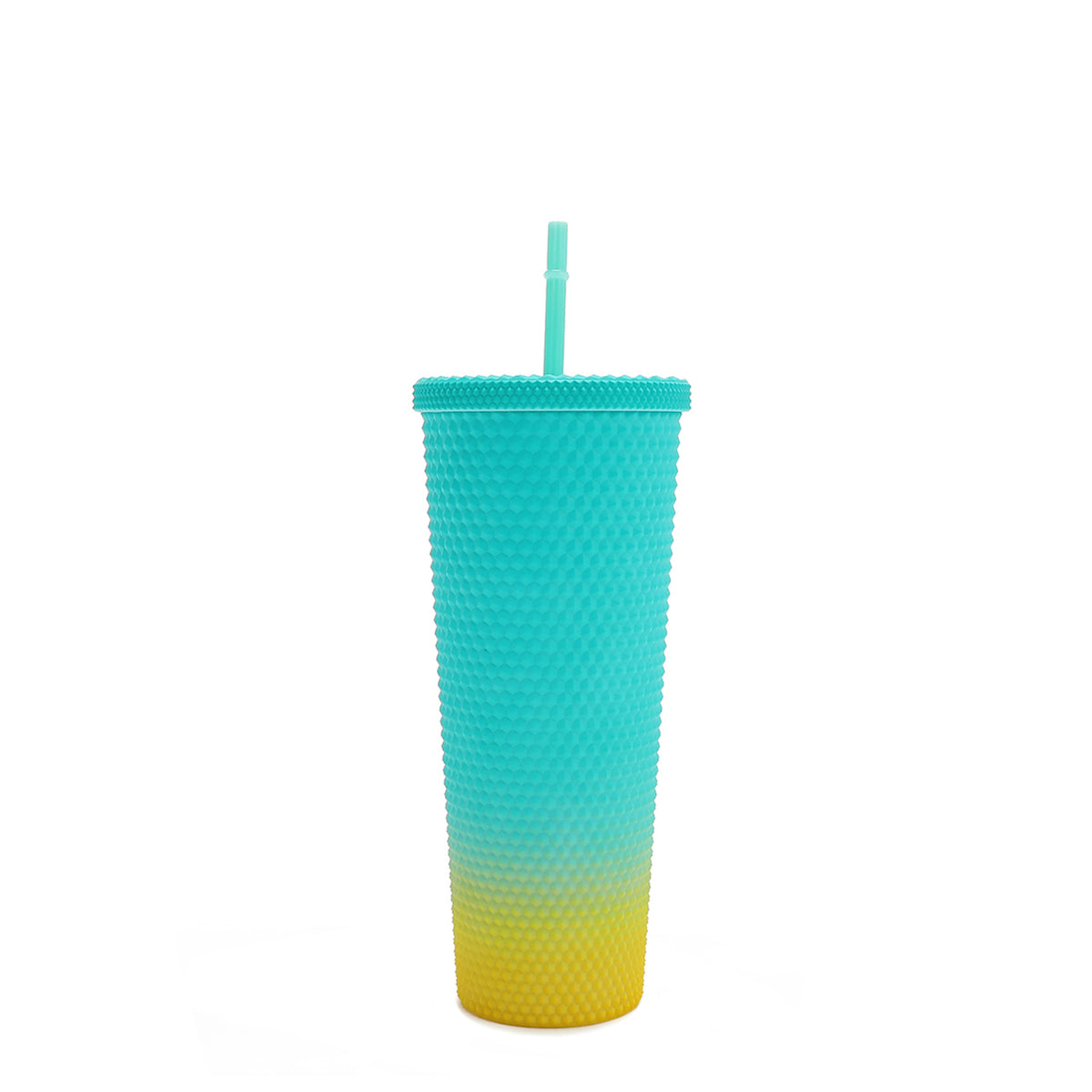 24 OZ STUDDED TUMBLER WITH STRAW FAMILY YEARBOOK